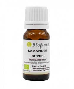 Super lavender (Lavandula burnati Lighter) BIO, 10 ml